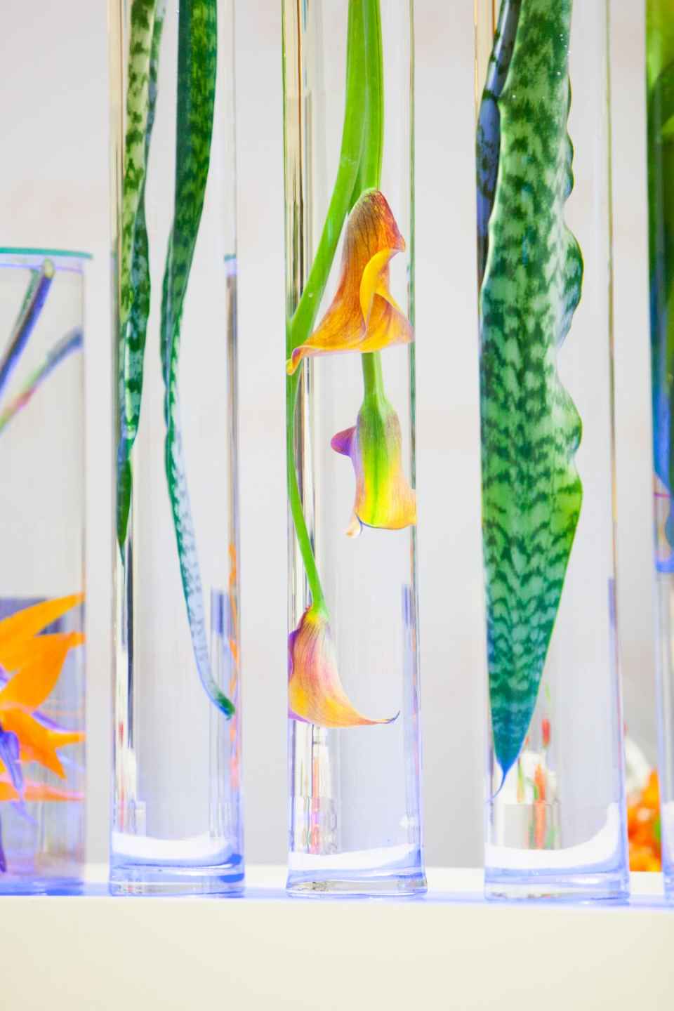 Floral Design